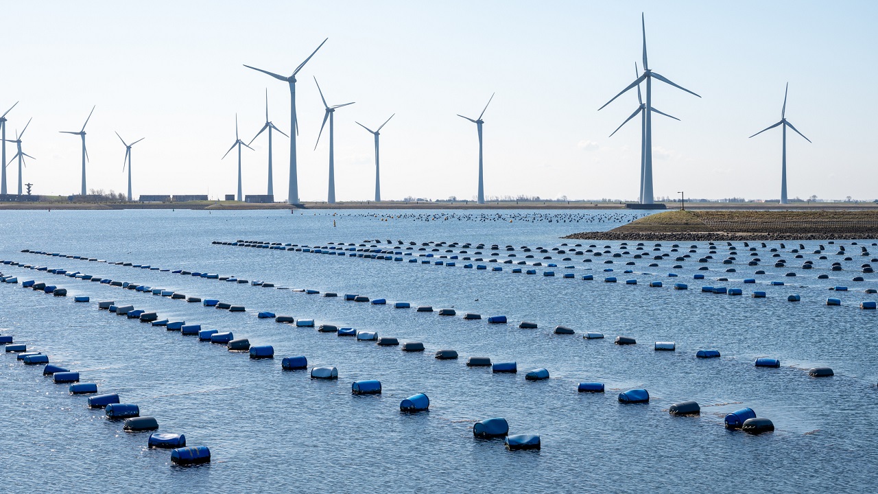 mosselteelt in oosterscheldemonding - barmalini via Istock