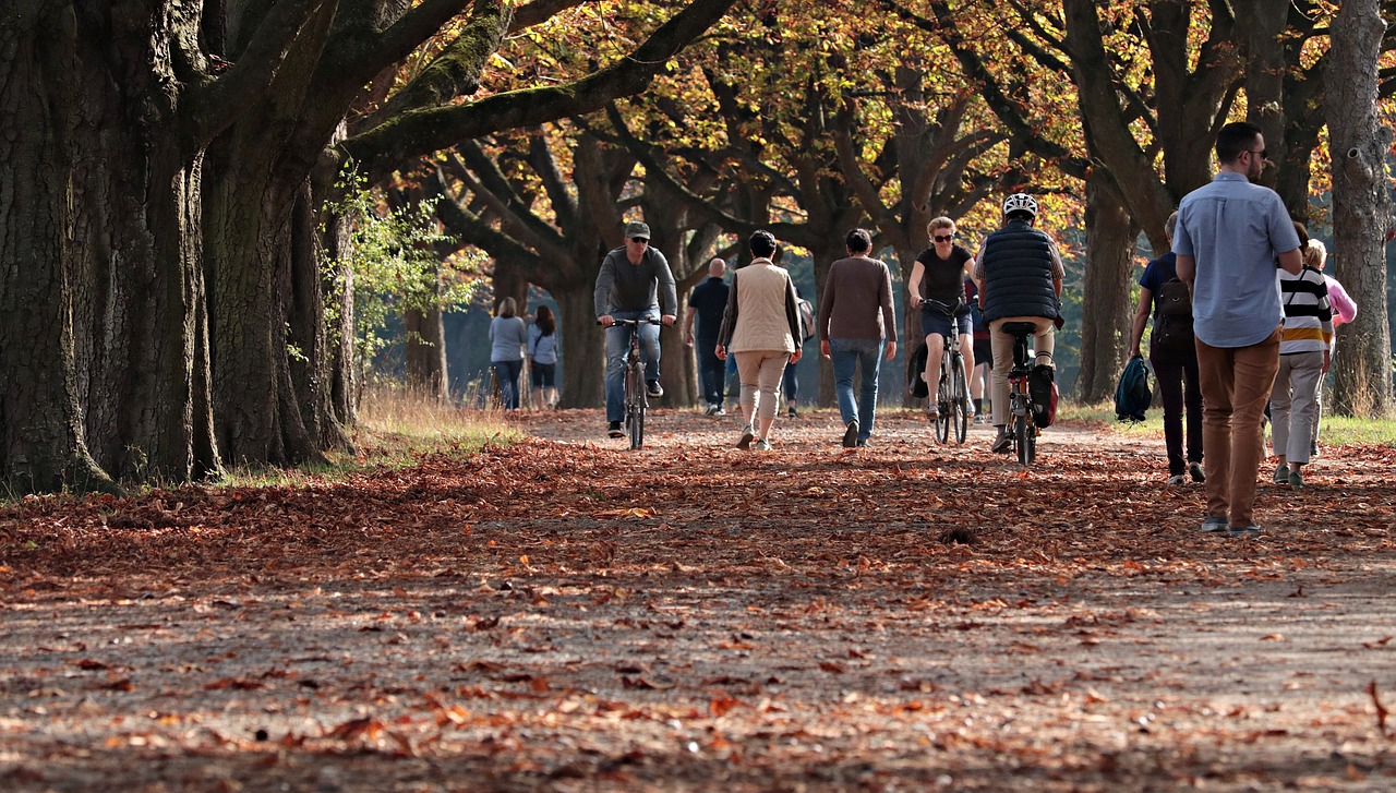 Wandelaars en fietsers in park - S. Hermann & F. Richter via Pixabay