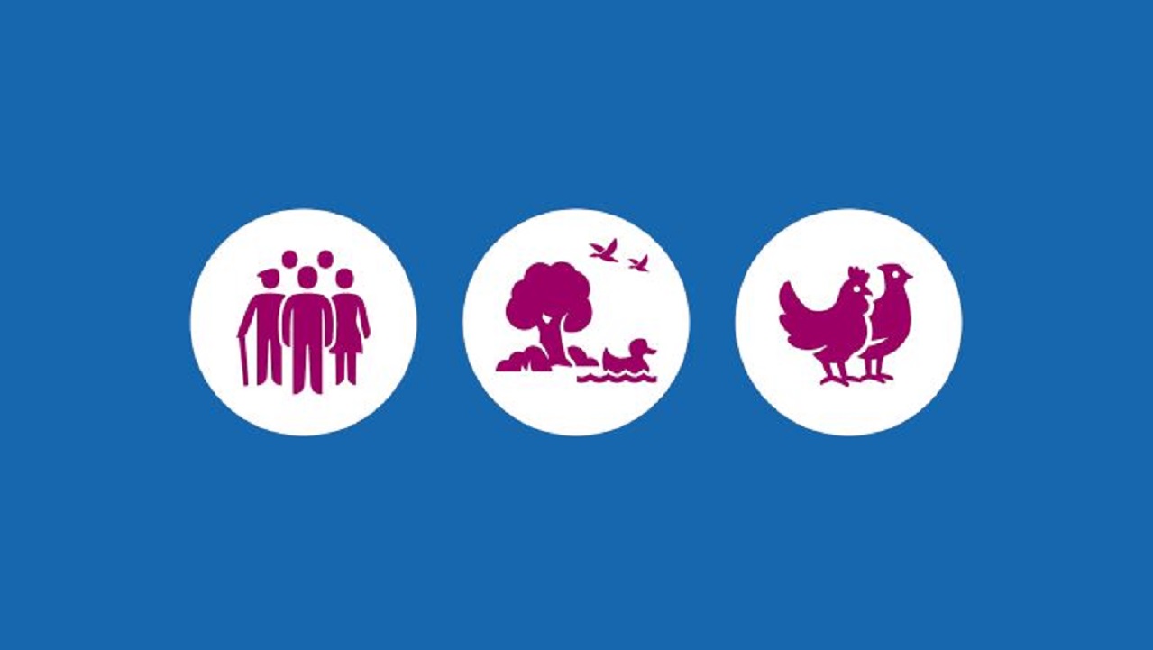 Intensiveringsplan preventie vogelgriep (©Rijksoverheid)
