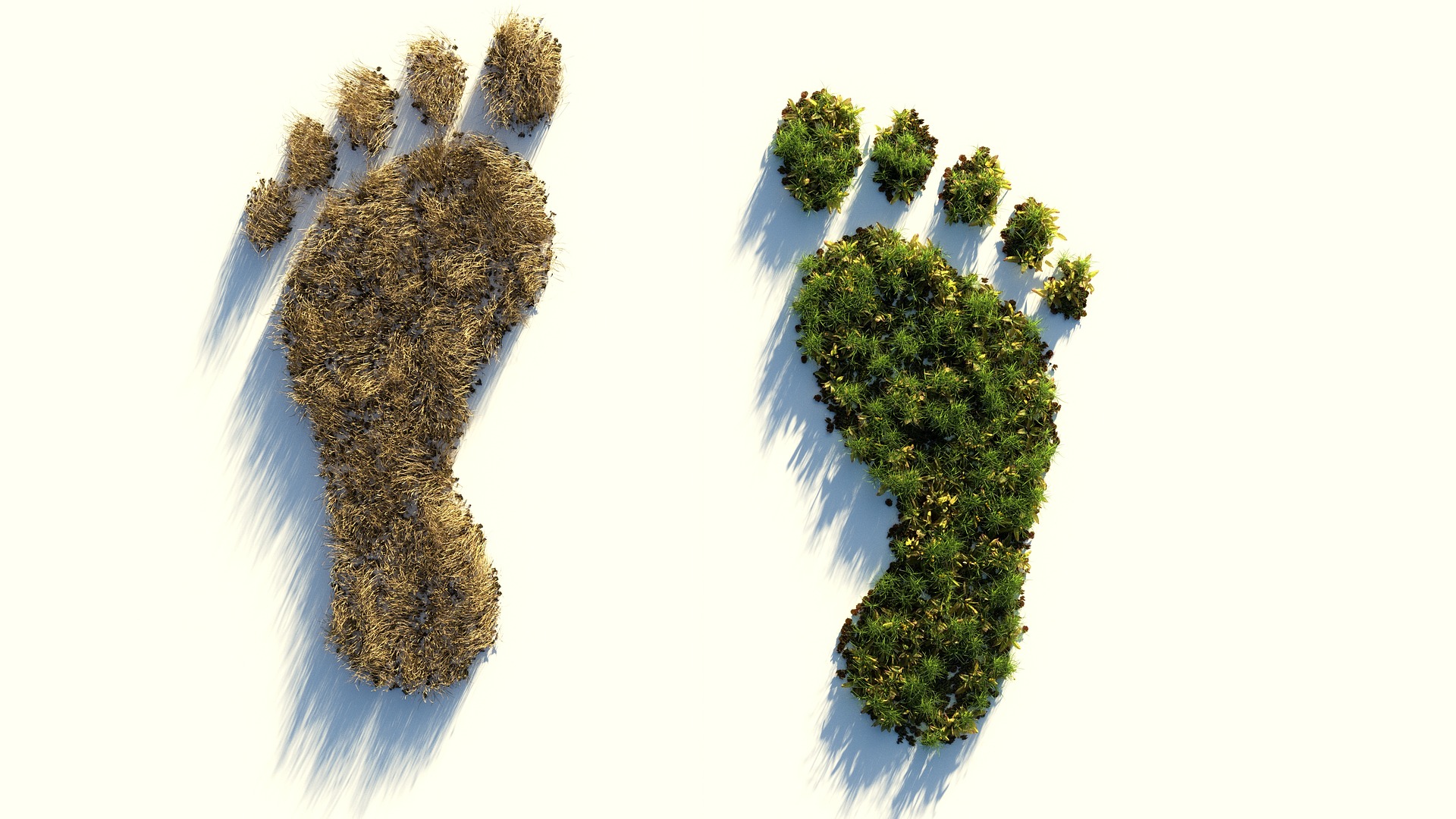 Ecologische voetafdruk - Colin Behrens via Pixabay