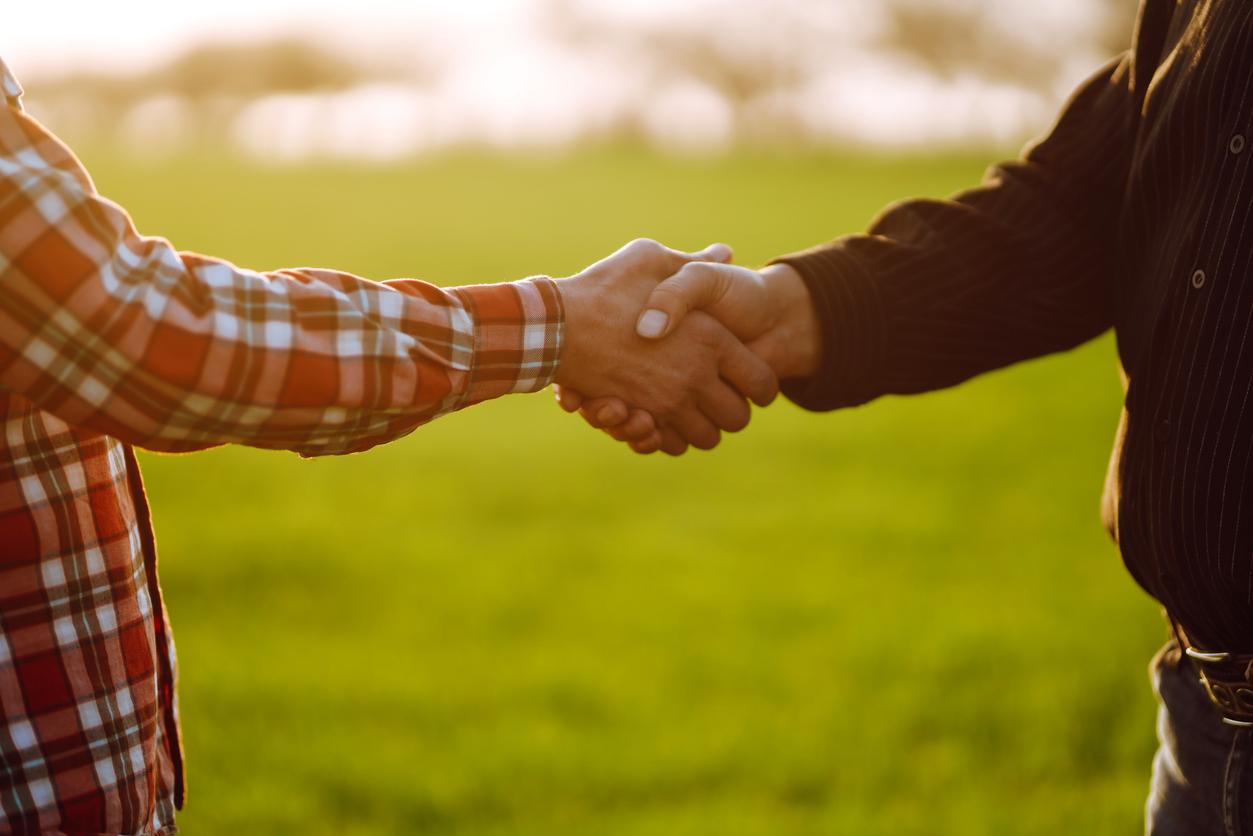 mensen handen schudden in tarweveld - Maksym Belchenko - via Istock