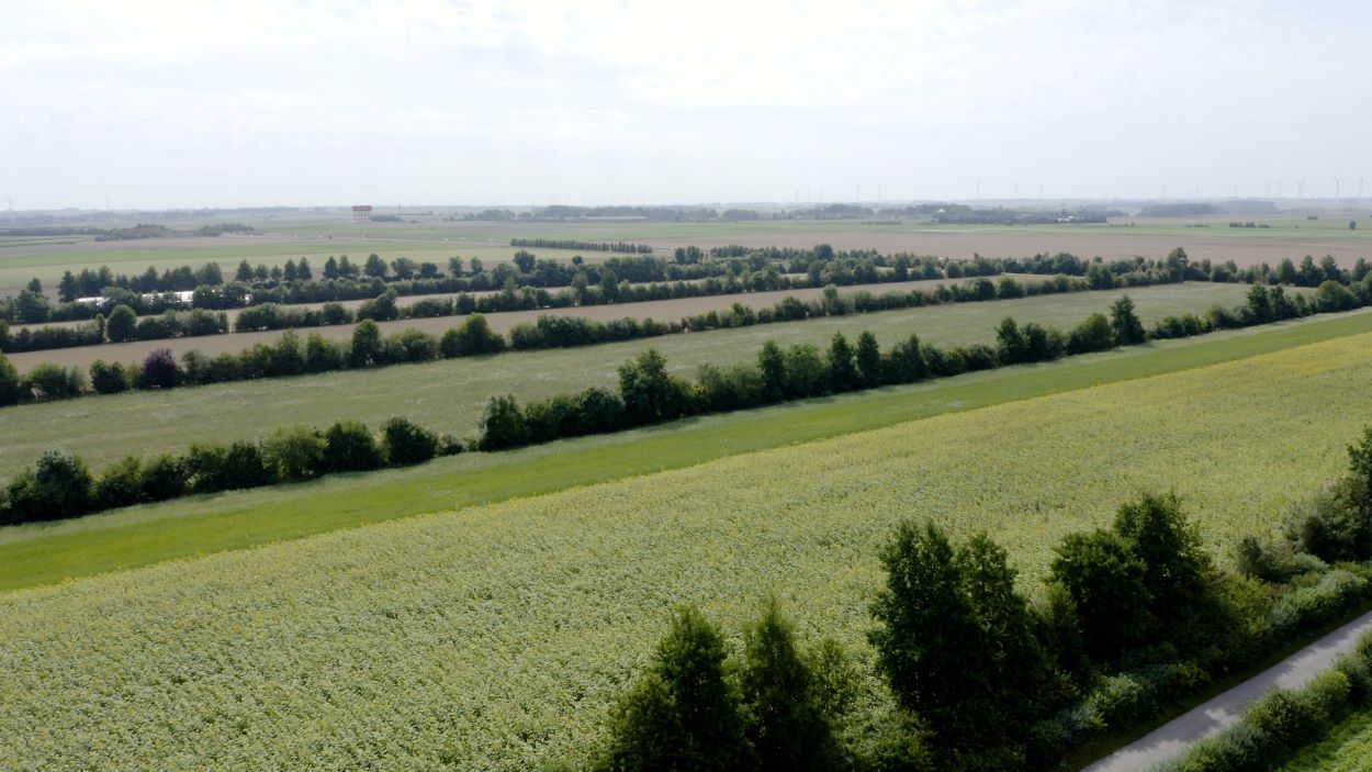 Projecten - Groen Kennisnet