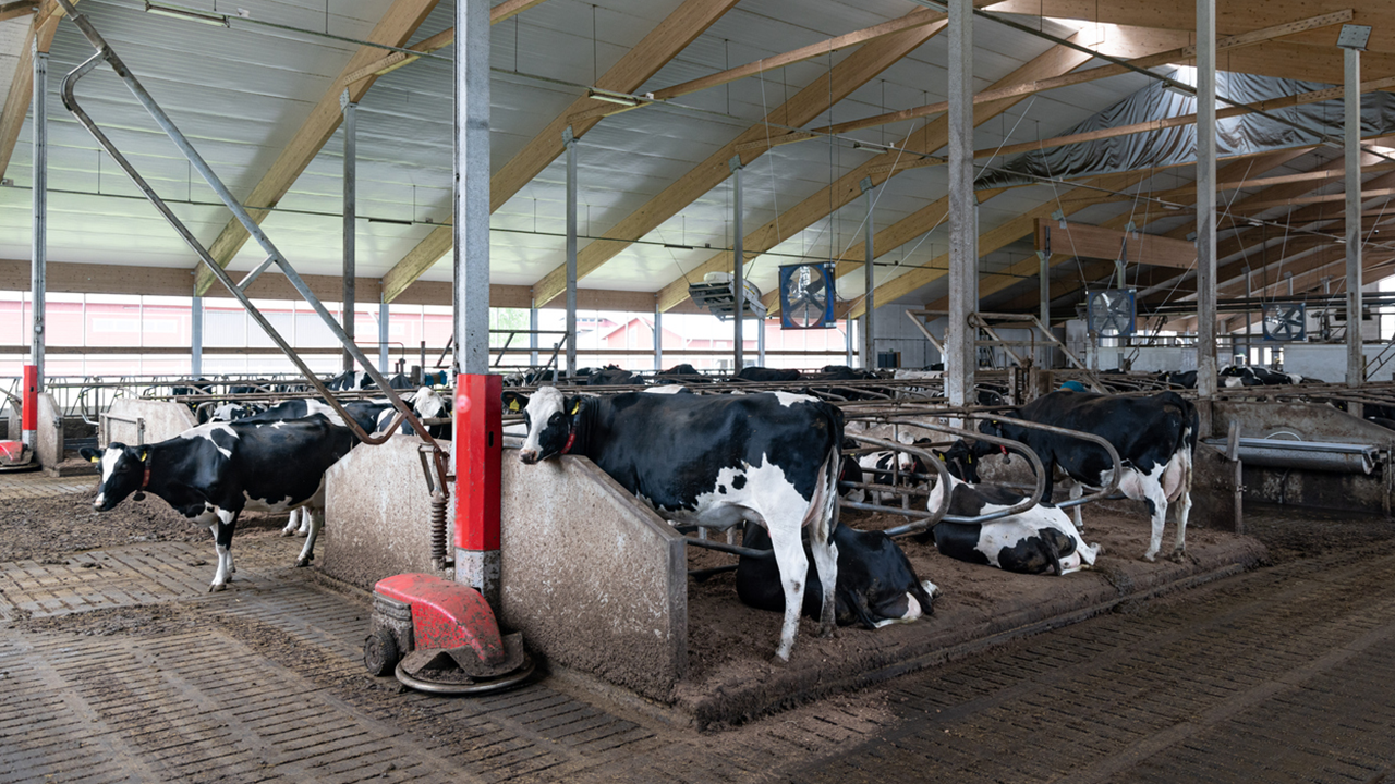 Modern dairy farm in Finland - HildaWeges via iStock