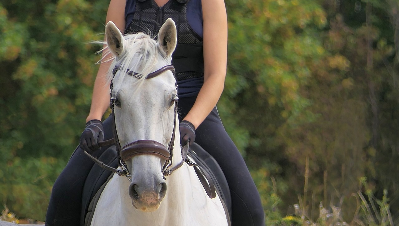 Vrouw op wit paard - Yves via Pixabay