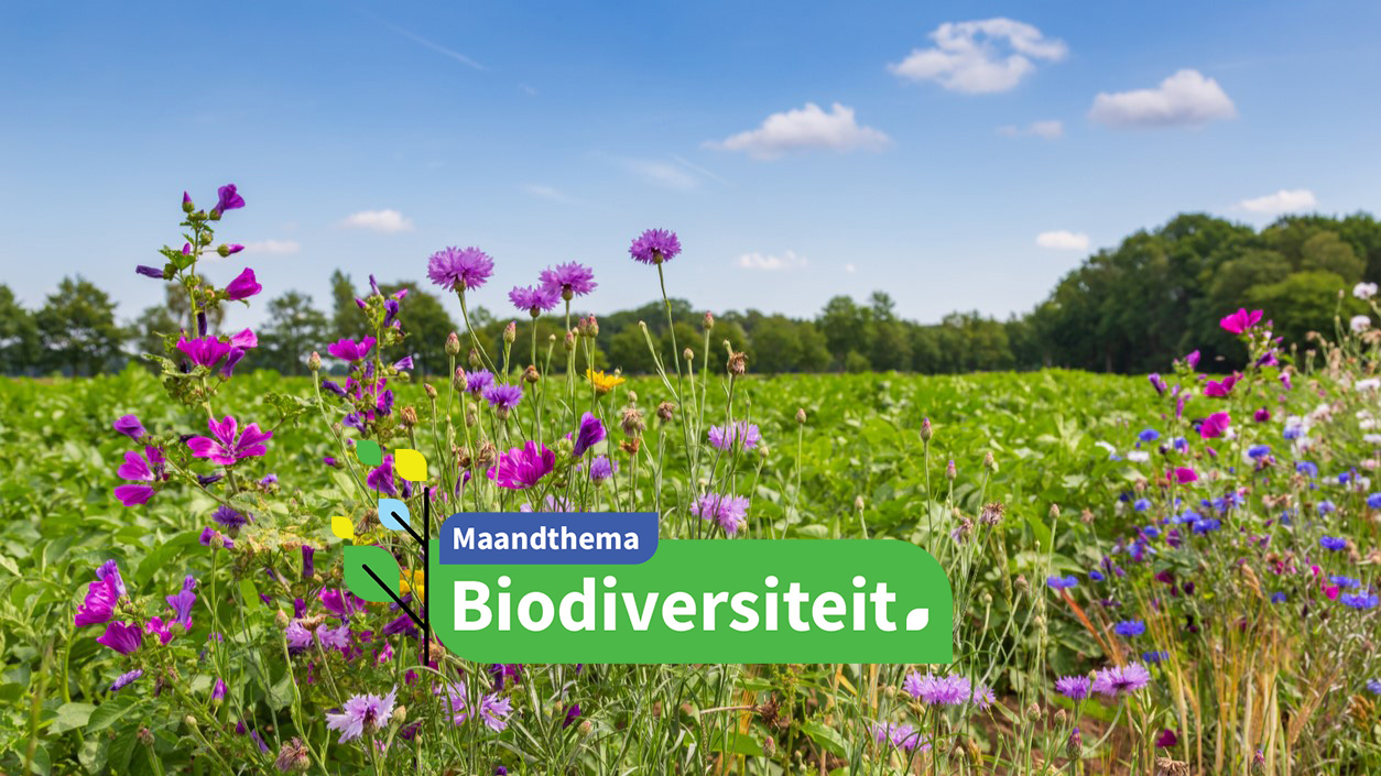 Natuurinclusieve landbouw in Nederland - Hilda Weges via iStock