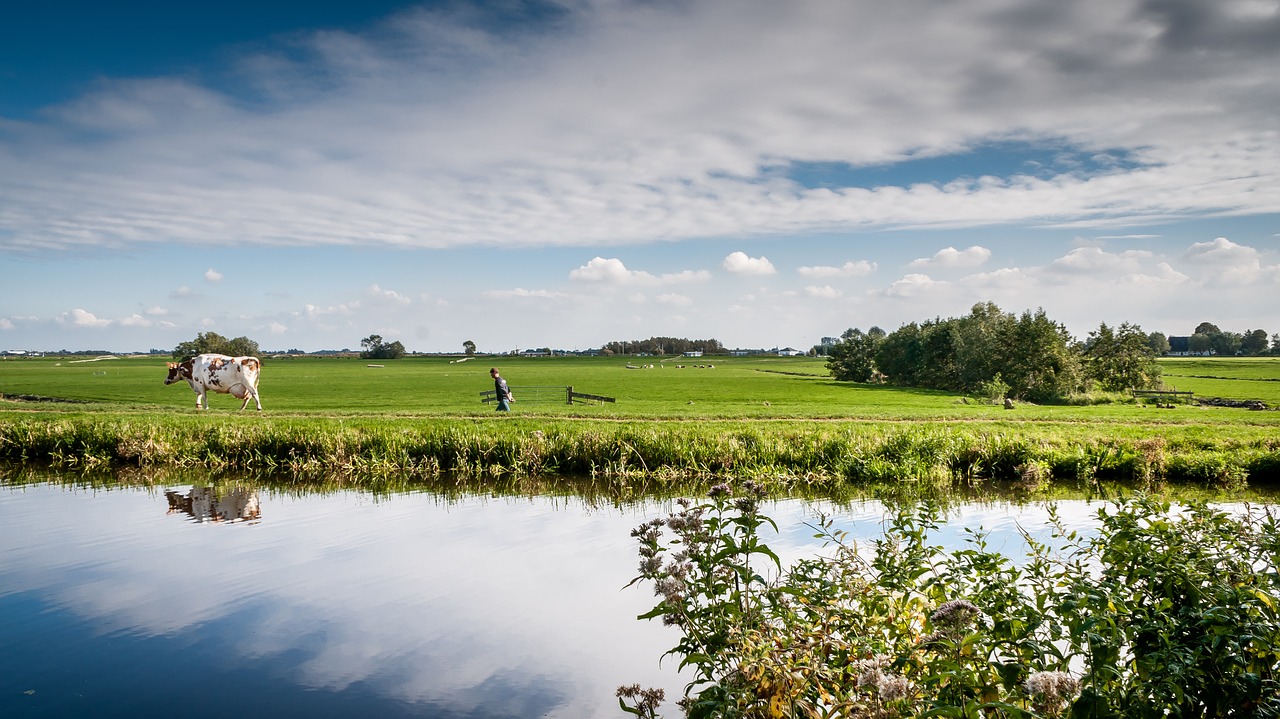 Hollands landschap met boer - door Arno Dreef via Pixabay