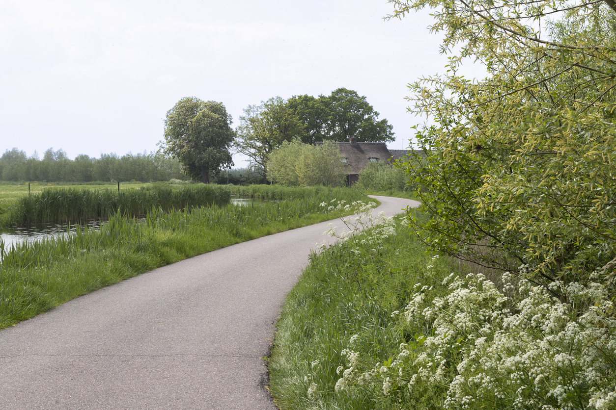 Landweg met boerderij op de achtergrond - Jan van der Wolf via iStock