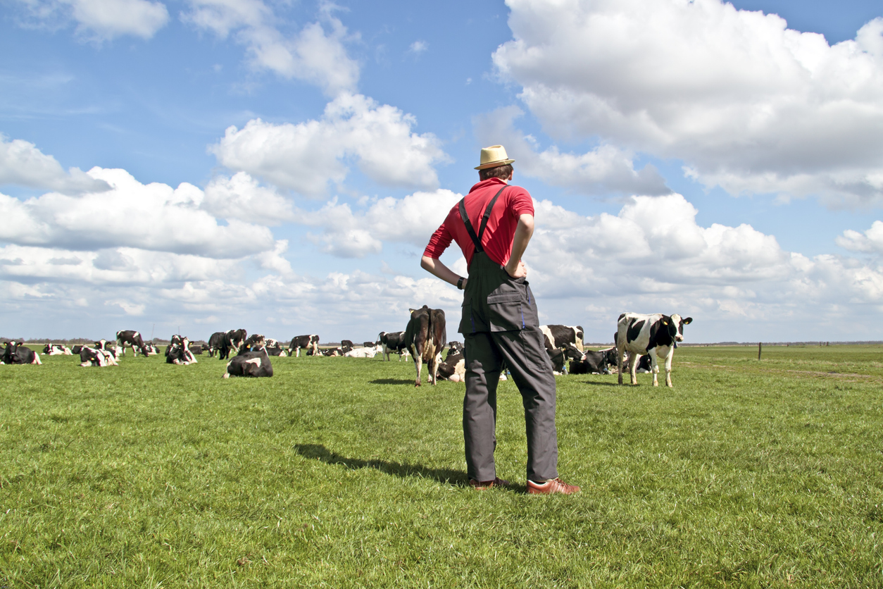 Farmer looking at his cows in the countryside from Netherlands, Nisangha via iStock