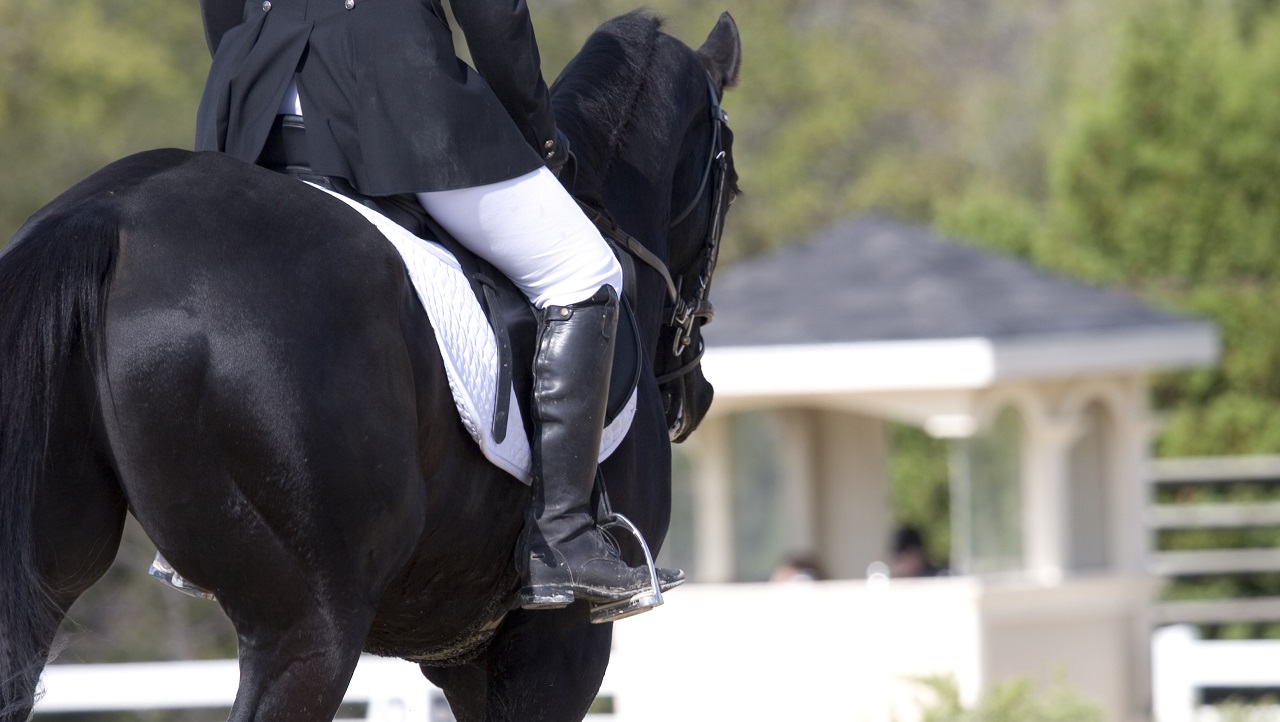 zwart paard met ruiter tijden dresuurwedstrijd - photoworks1 via Istock