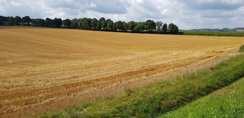 Natuurlandschap en akker - Roosverhooren via Pixabay