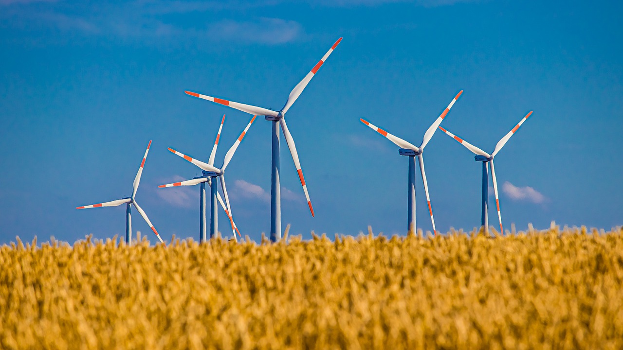 Graanveld met windmolens- van Al3xanderD op pixabay