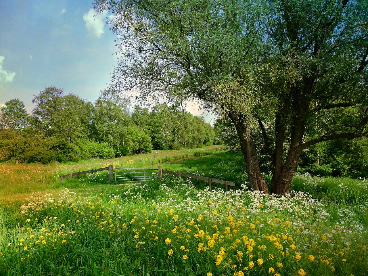 Nederlands landschap - MabelAmber via Pixabay