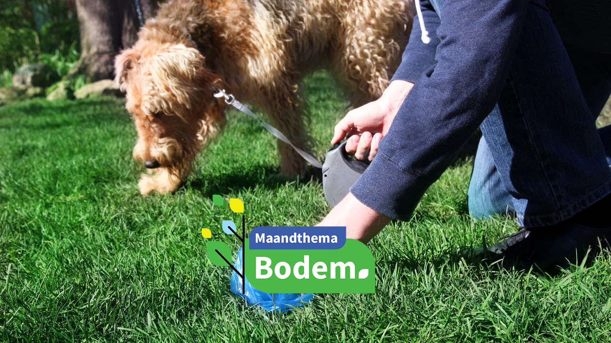 Man afhalen / schoonmaken van hond uitwerpselen, Saklakova via iStock