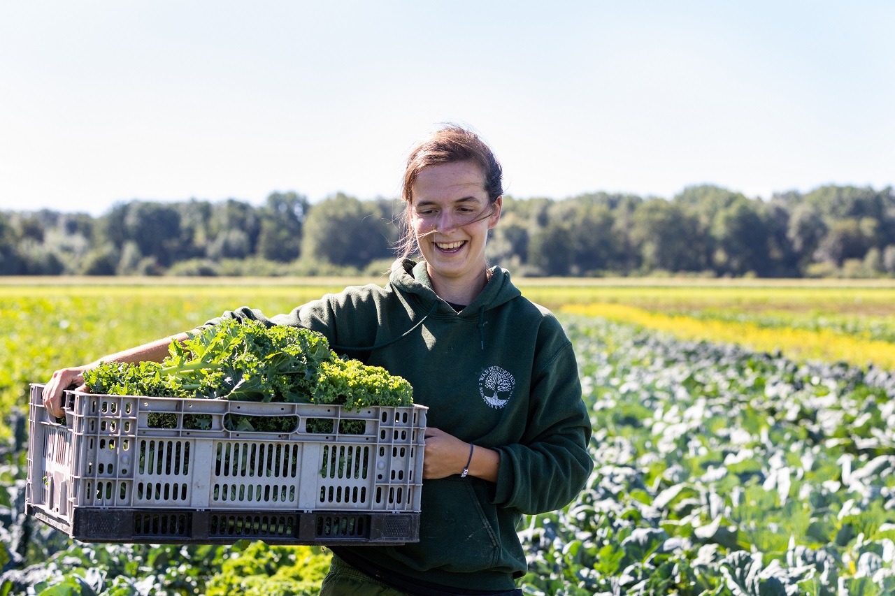 vrouw met sla in veld