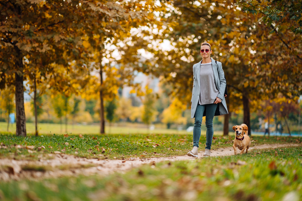 Gelukkige vrouw wandelen op een park parcours met een kleine bruine hond in de herfst, Kerkez via iStock