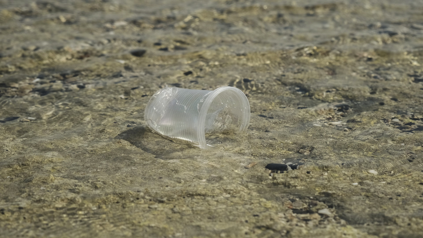 Plastic zwerfafval in de zee - Andriy Nekrasov via iStock