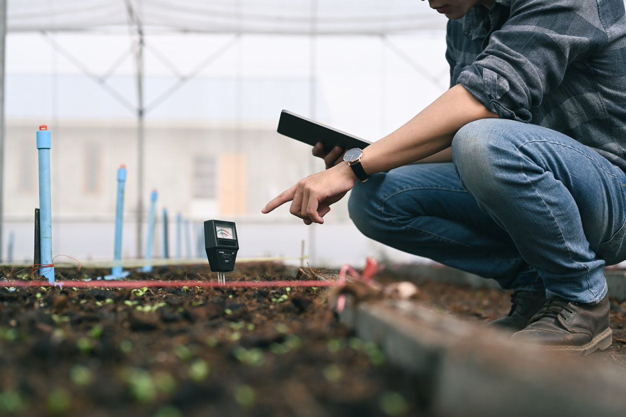 Sensor bij planten in kas - PrathanChorruangsak via Istock