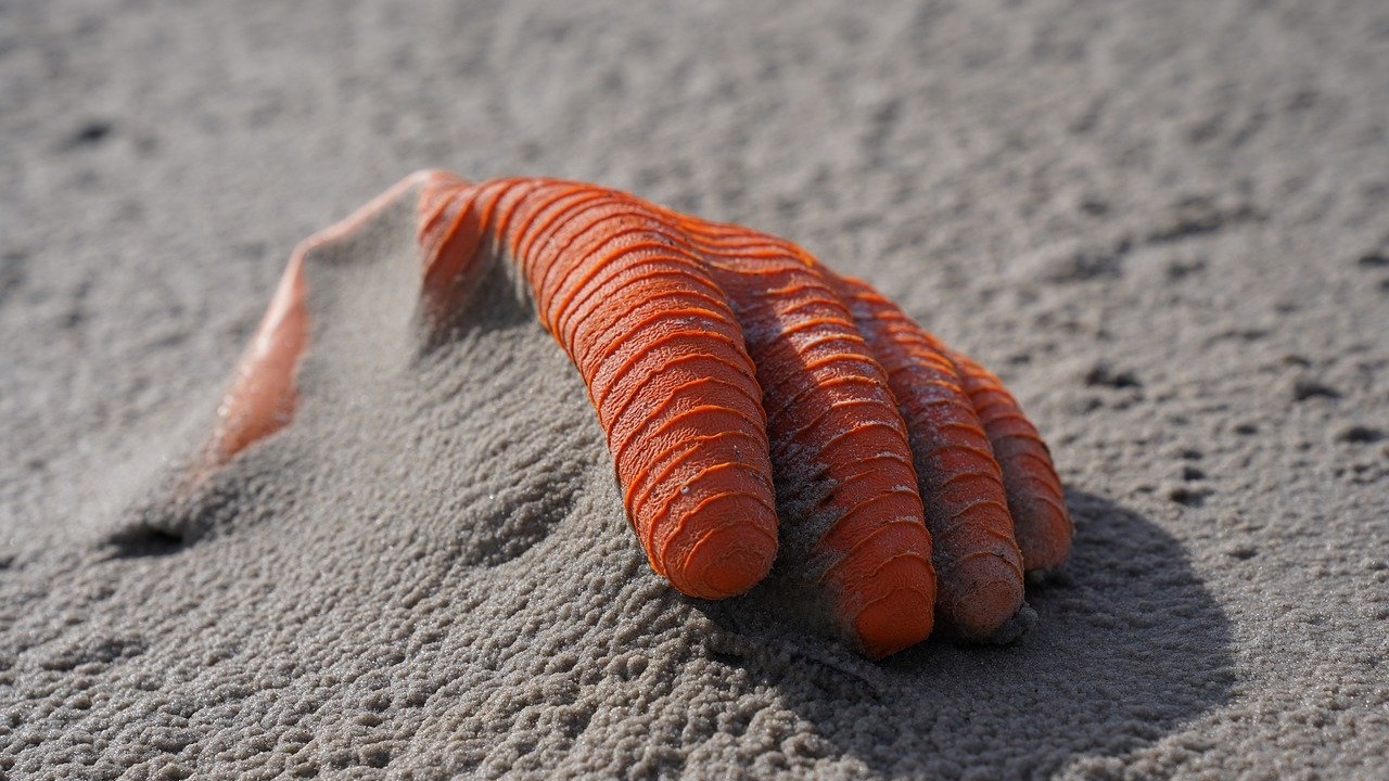 Oranje handschoen op strand - 33034919 via pixabay