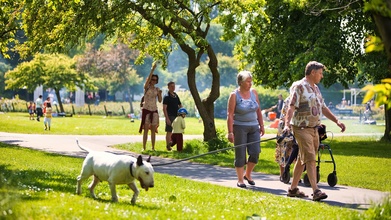 Mensen wandelen met de hond in stadpark Den Haag - Oliver de la Haye via Istock