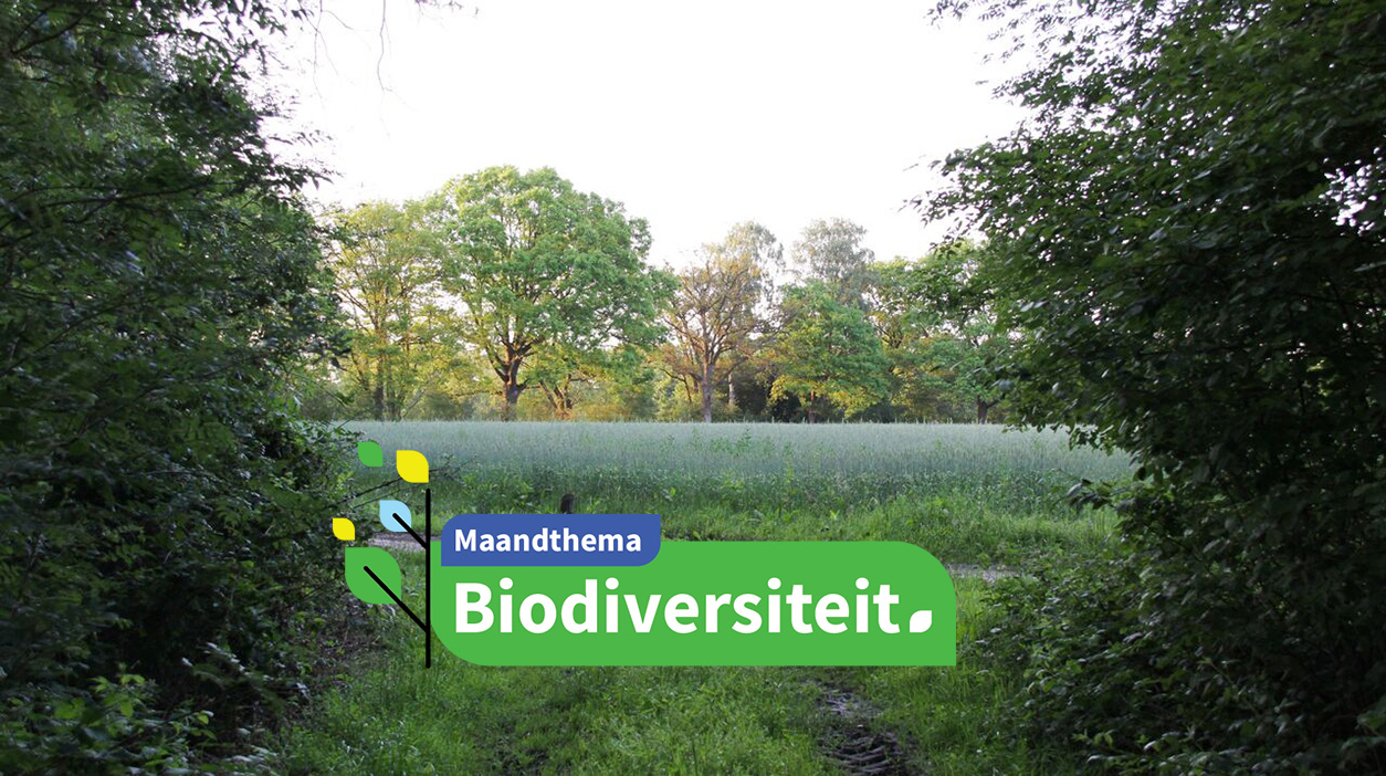 Graanakker in bos - Eddy Teenstra via WUR