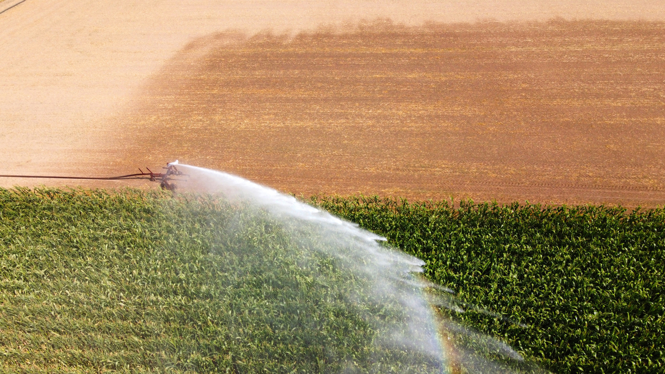 Irrigatie van maïs in de zomer - Robert Hoetink via iStock