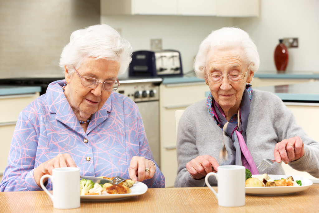 Twee bejaarde vrouwen eten samen aan tafel - Monkey Business Images via Shutterstock