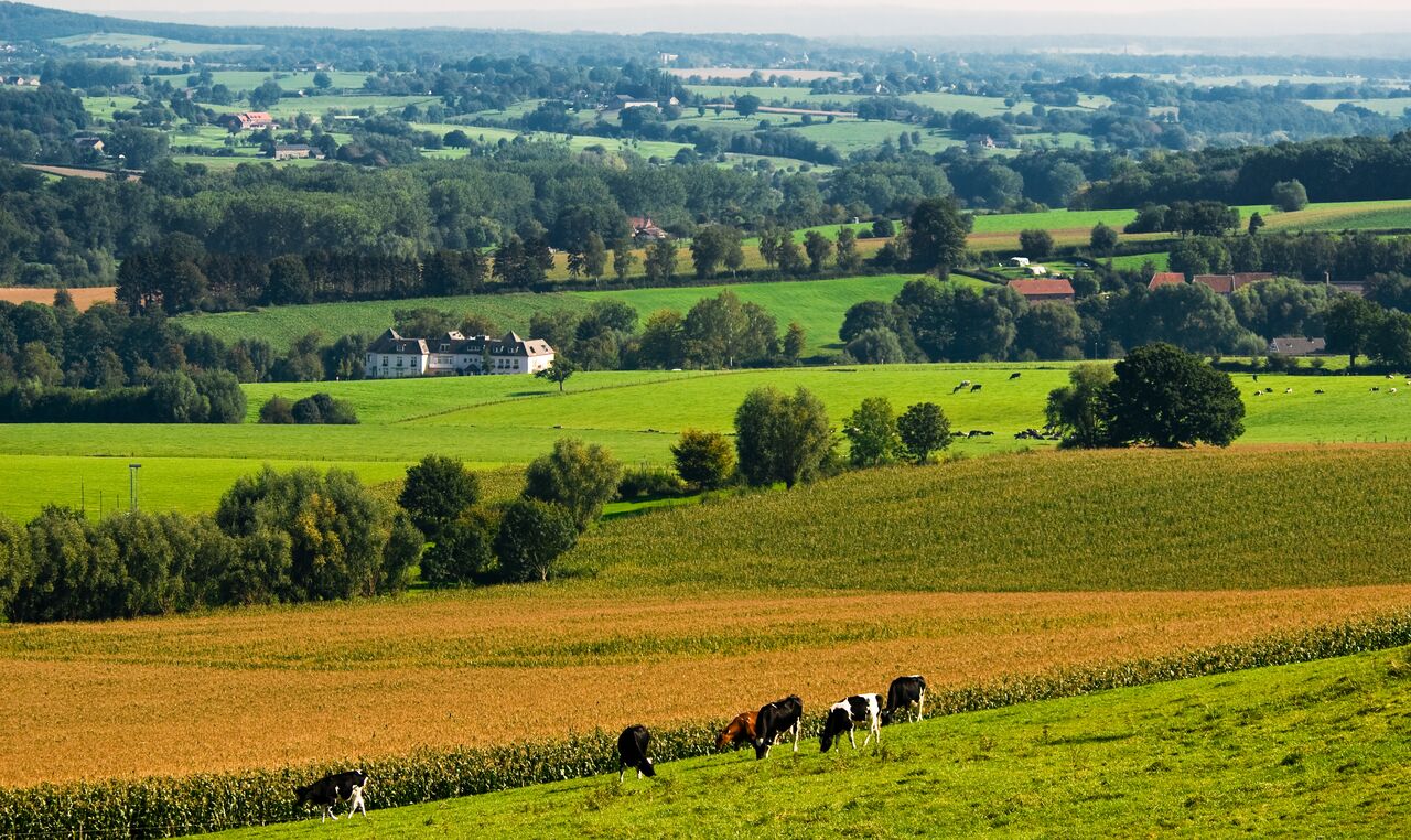 Heuvellandschap