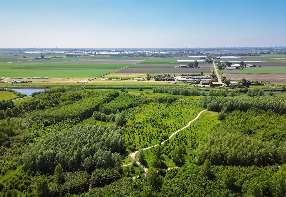 Aerial view of recreational area Bentwoud, The Netherlands, Meindert van der Haven via iStock