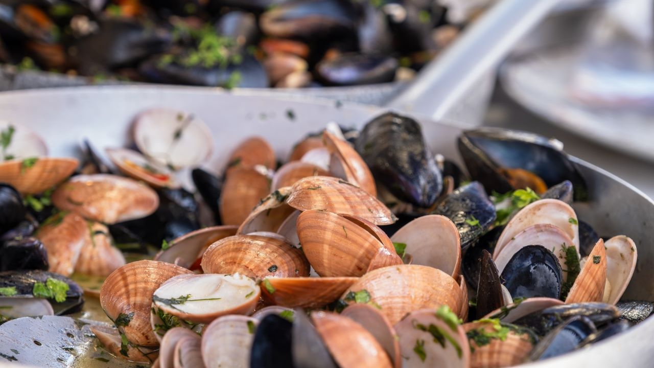 schelpen en mosselen in een pan - FactoryTh via iStock